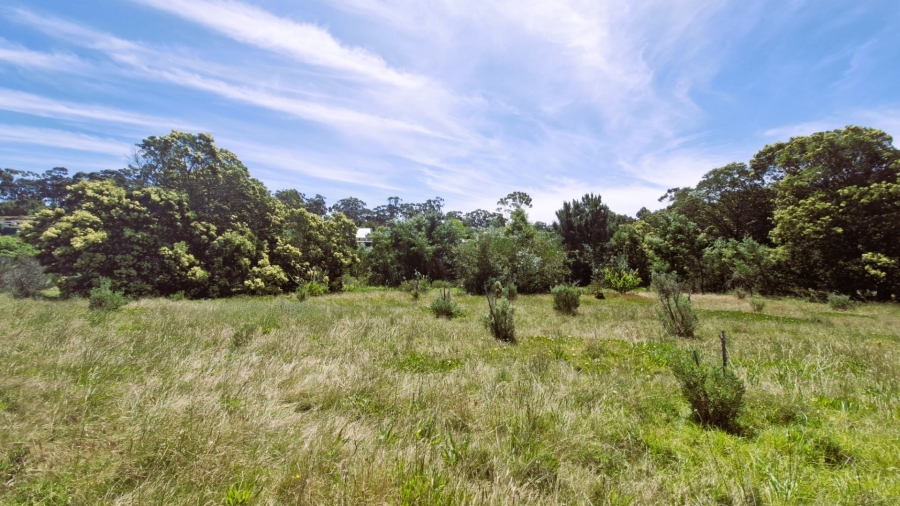 Commercial Property for Sale in Napier Western Cape